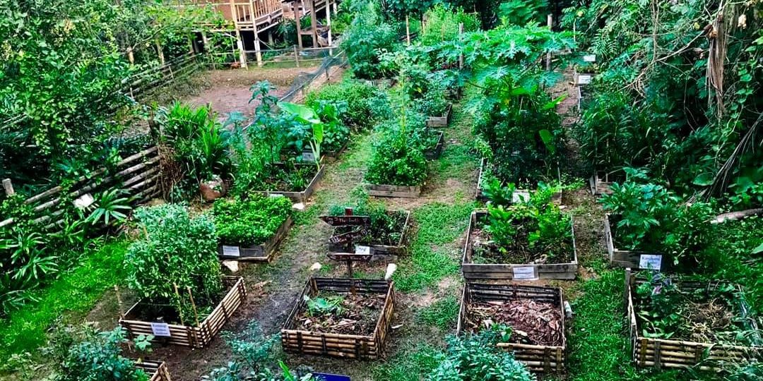 KEBUN ORGANIK  DI KELANTAN  No 1 Tourism Spot in Kelantan  