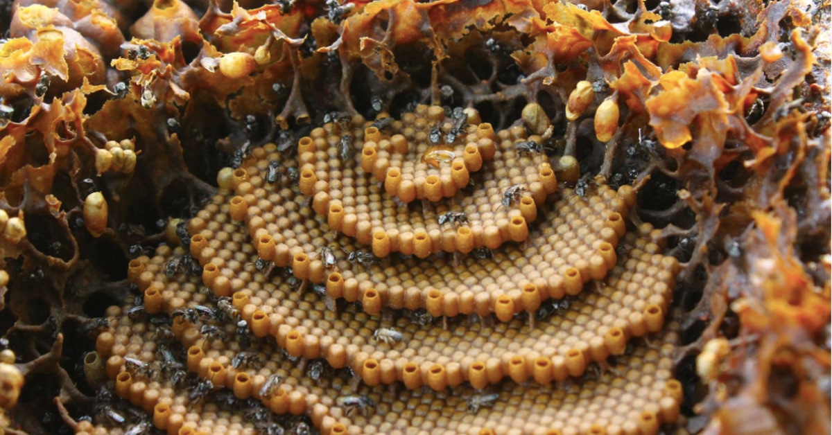 Blog - Page 6 of 6 - No 1 Tourism Spot in Kelantan  Min 