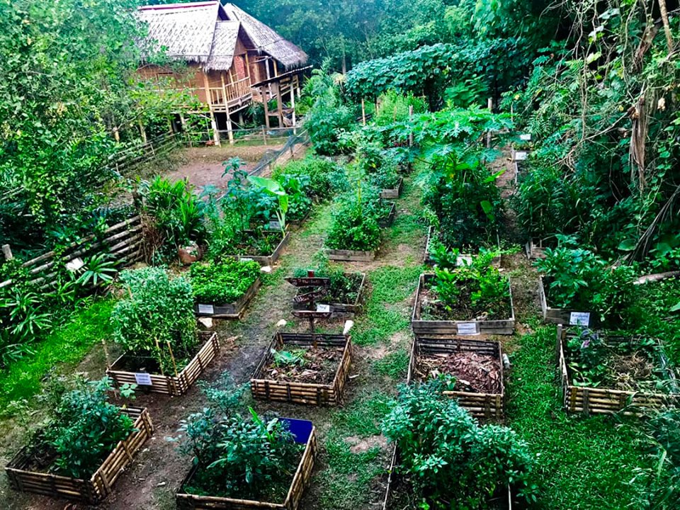 kebun organik min house camp